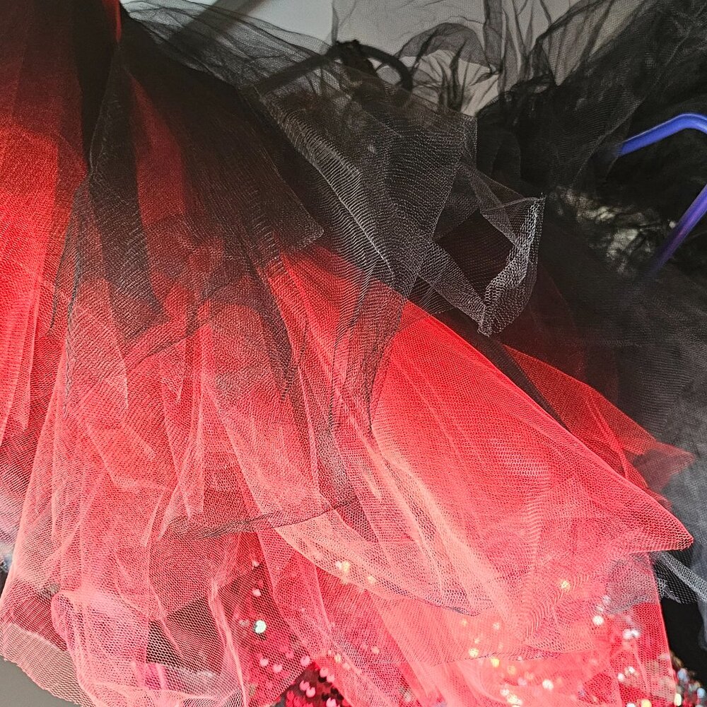 Costumes - Picture 4 of 4